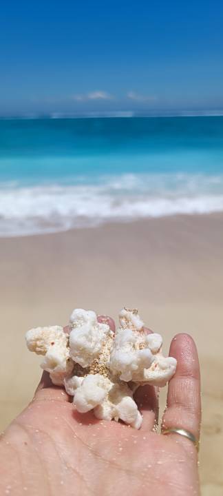 Strand Sanur Resort Watujimbar