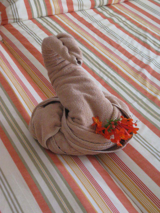 Deko SBH Hotel Taro Beach