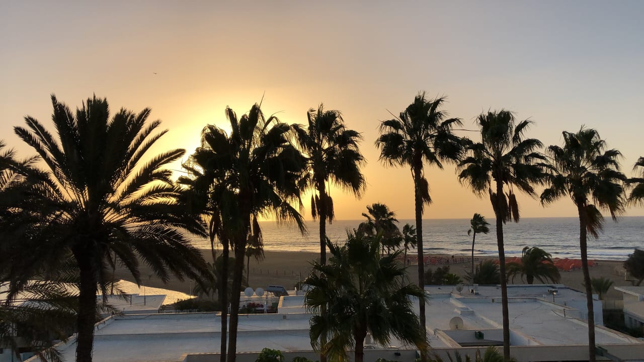 Ausblick Seaside Hotel Palm Beach