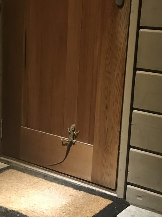 Sonstiges Meeru Maldives Resort Island