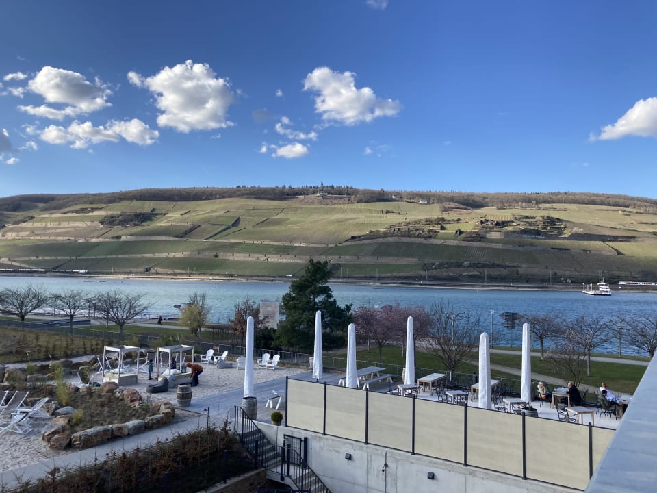 Ausblick PAPA RHEIN - Hotel & Spa