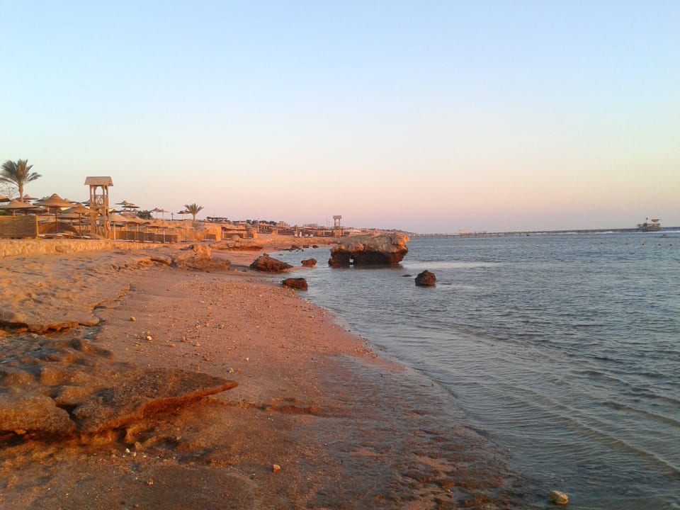 Strandblick, Aquariumfische direkt am Strand Charmillion Sea Life Resort