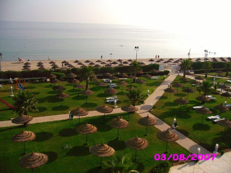 The garden Hotel Amir Palace