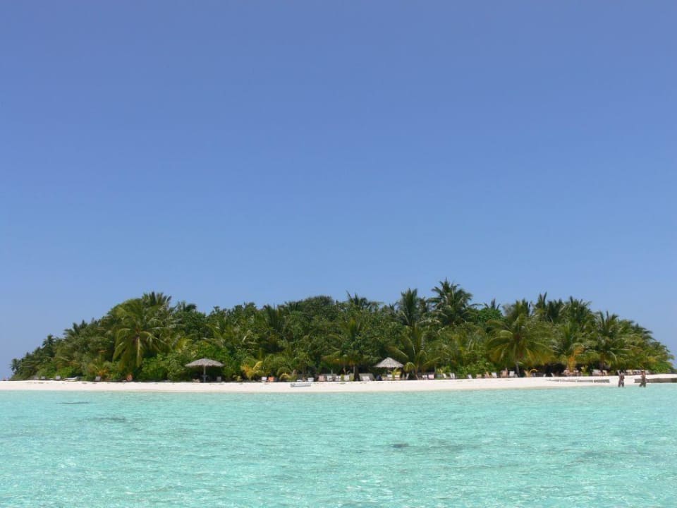 Blick auf die Sunset-Bar Vilamendhoo Island Resort & Spa