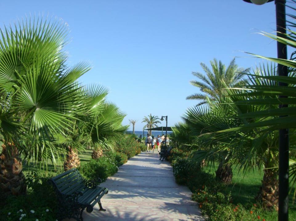Weg zum Strand Royal Atlantis Beach Hotel
