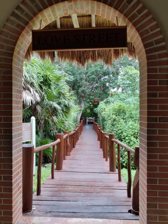 Gartenanlage TRS Yucatan Hotel - Adults only