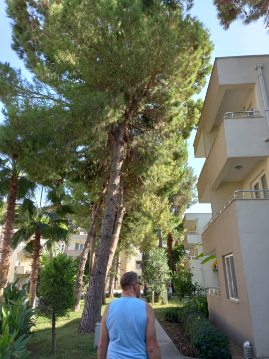 Gartenanlage Club Sidelya Hotel