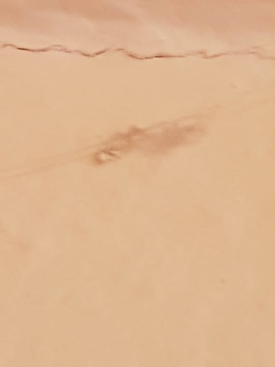 Spinnweben Hotel Am Kamin