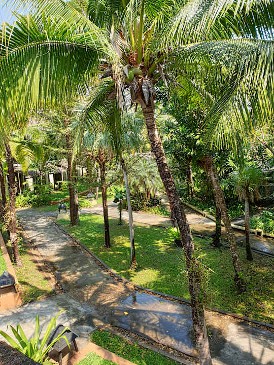 Gartenanlage Centara Koh Chang Tropicana Resort