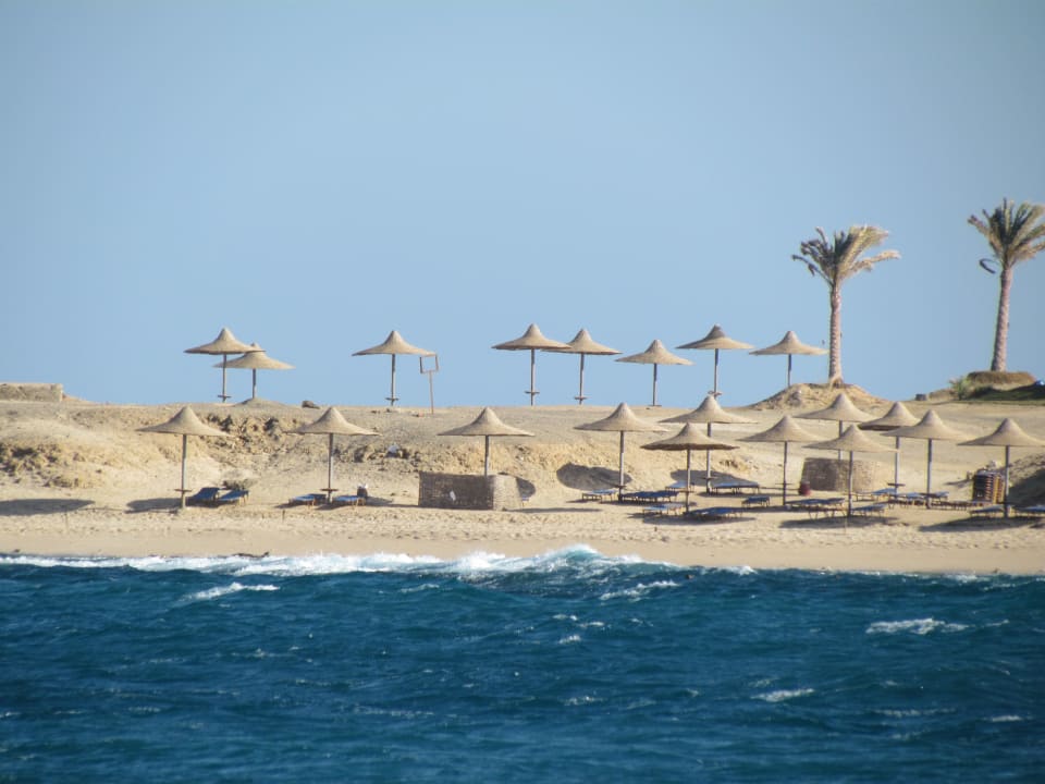 Ferien Malikia Resort Abu Dabbab