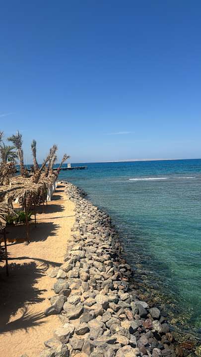 Ausblick Desert Rose