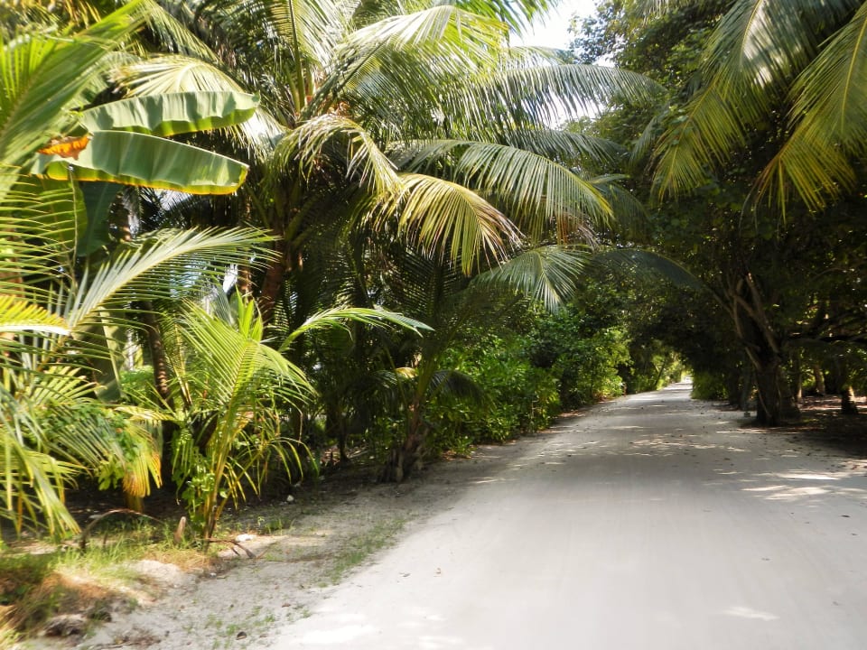 Garten Meeru Maldives Resort Island