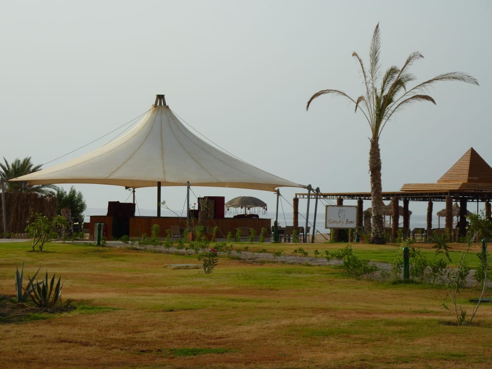 Die Strandbar Hotel Gorgonia Beach Resort
