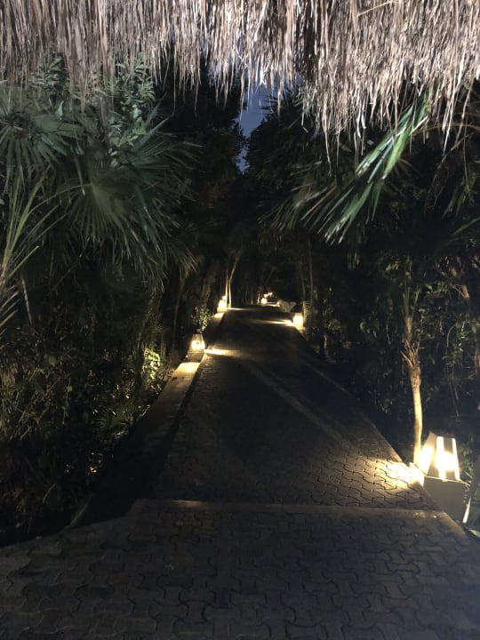 Gartenanlage Grand Sirenis Riviera Maya Resort & Spa