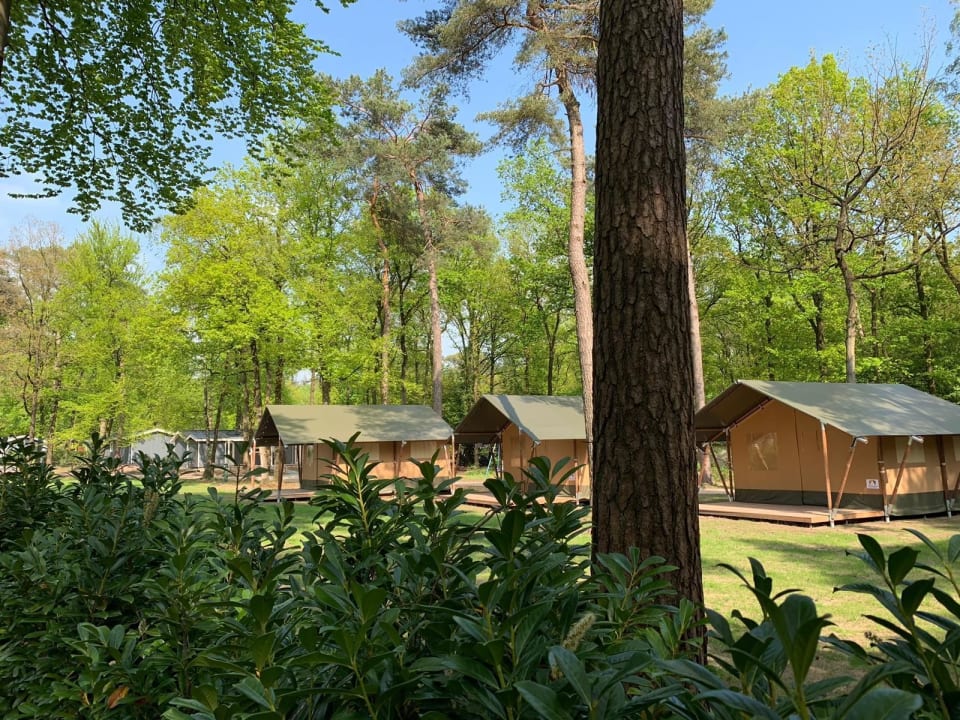 Außenansicht Ferienpark Bonte Vlucht