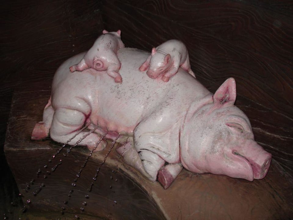Schweine in der Arche Noah im Kinderbecken! Center Parcs De Eemhof
