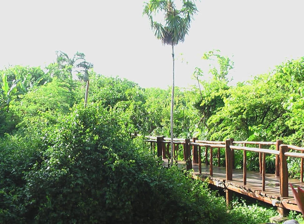 Weg zum Strand Grand Palladium Kantenah Resort & Spa