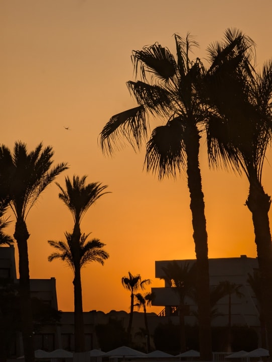 Ausblick Pharaoh Azur Resort