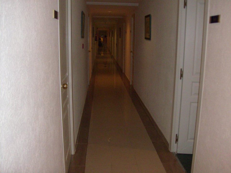 Flur Globales Playa Santa Ponsa