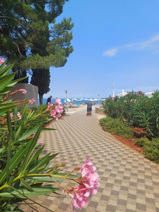 Strand Hotel Sipar Plava Laguna