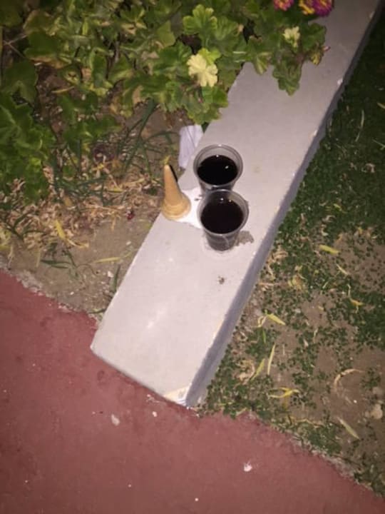 Toll für die Kakalaken Hotel Golden Odyssey