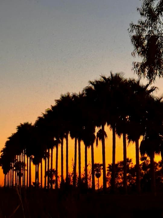 Sonstiges Ilios K Village Resort