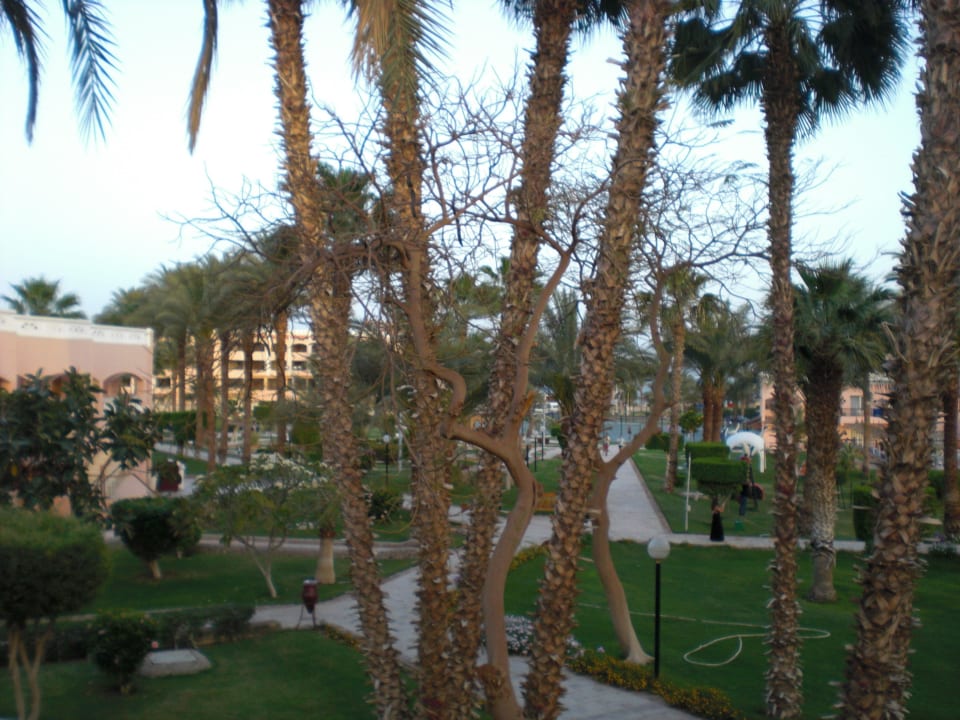 Garten Beach Albatros Resort