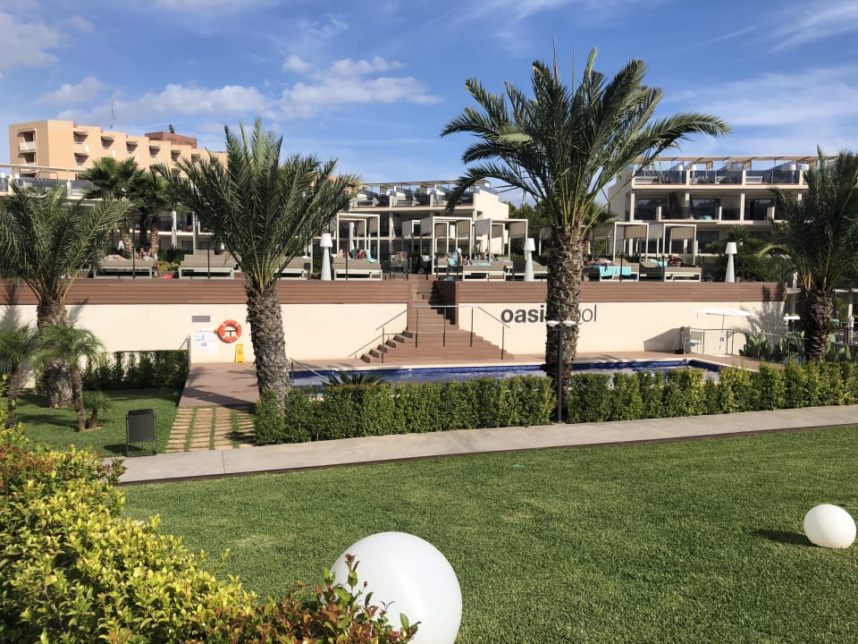 Gartenanlage Zafiro Palace Palmanova