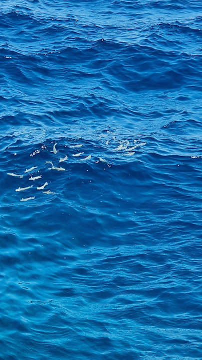 Strand Three Corners Sea Beach Resort