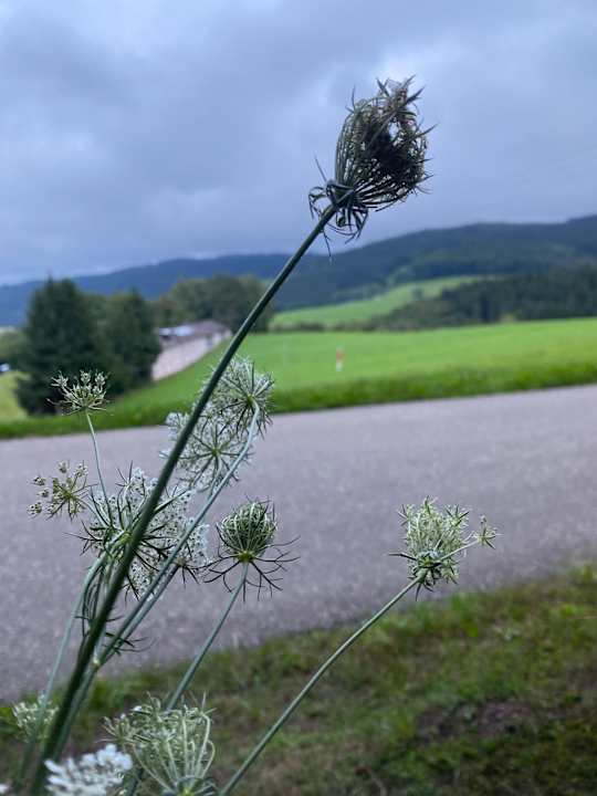 Außenansicht S'Fleckli Bioland Ferienbauernhof