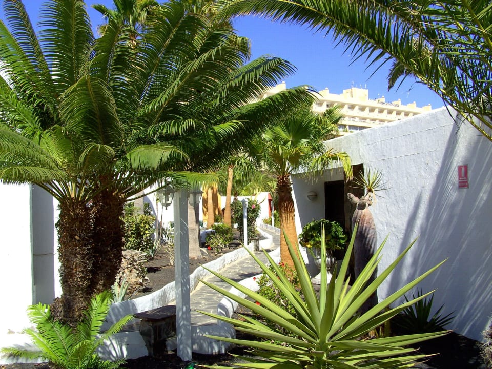 Gartenanlage Ferienanlage El Jardin - Bungalow Casa a Sol