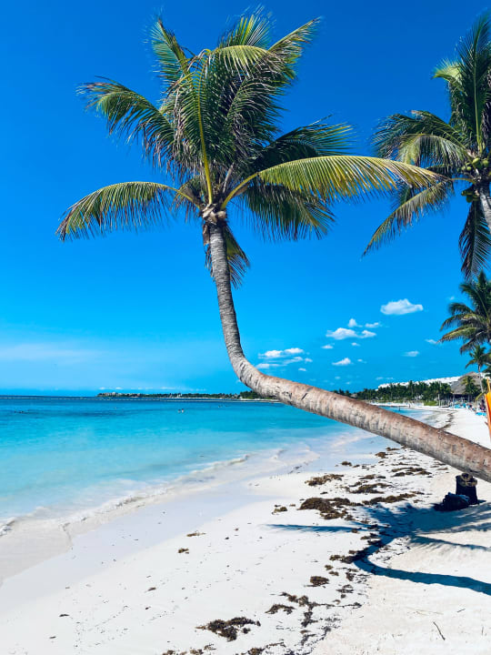 Strand Akumal Bay Beach & Wellness Resort