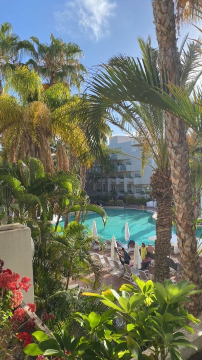 Gartenanlage Maspalomas Princess & Tabaiba Princess