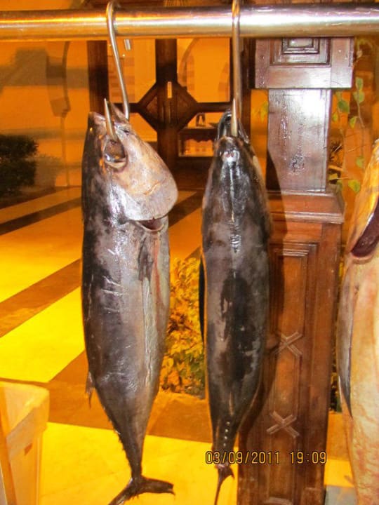 Frischer Thunfisch Stella Beach Resort & Spa Makadi Bay