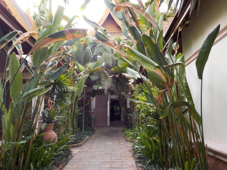 Einige Wege durch das Hotel Thai House Beach Resort