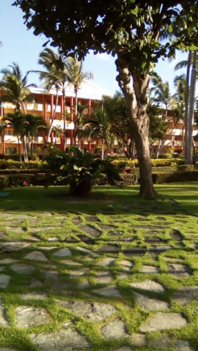 Gartenanlage Iberostar Waves Punta Cana