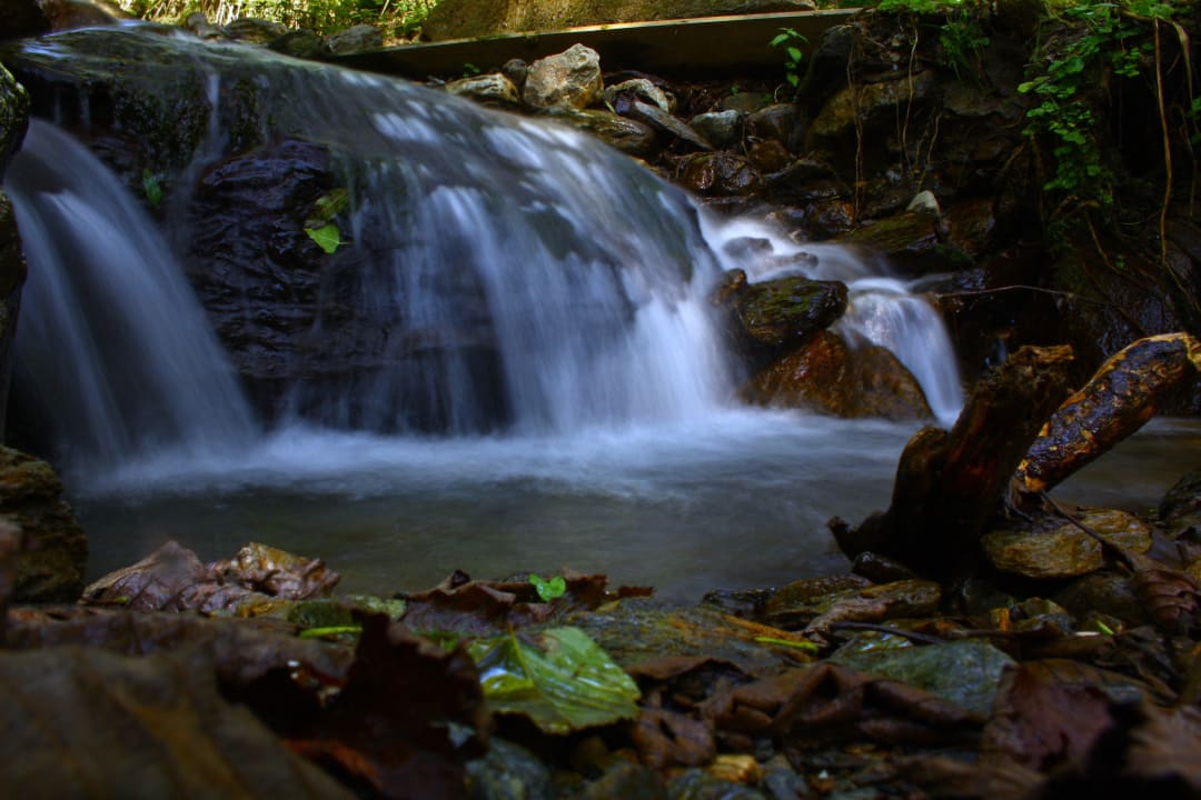 Fließender Bach Bauernhof Bodnerhof