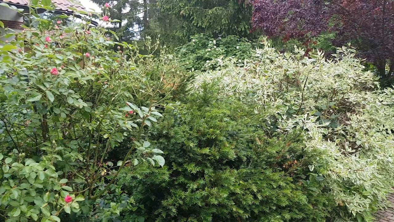 Gartenanlage Stahlecker Hof