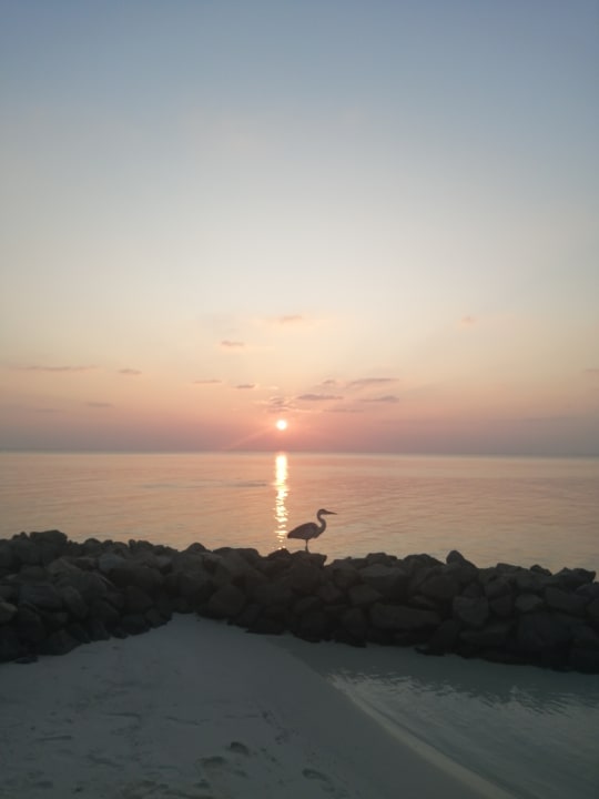 Strand Summer Island Maldives