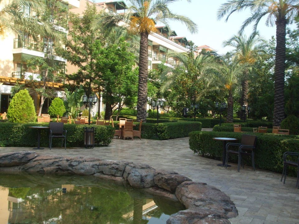 Сад Crystal Paraiso Aqua Collection