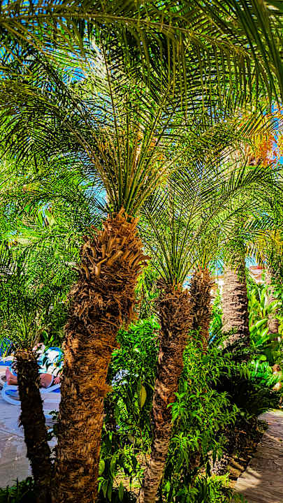 Gartenanlage Side Village Hotel