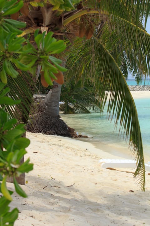 Strand Summer Island Maldives
