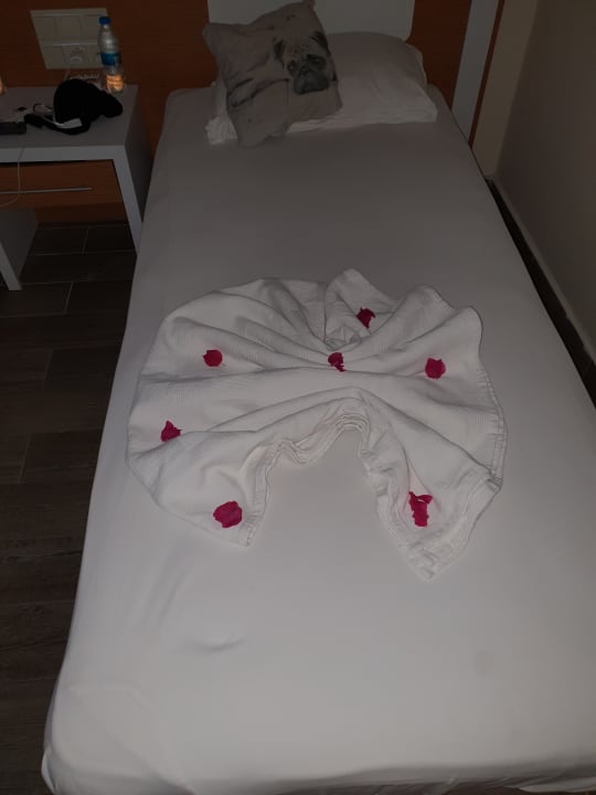 Zimmer Kaila Beach Hotel