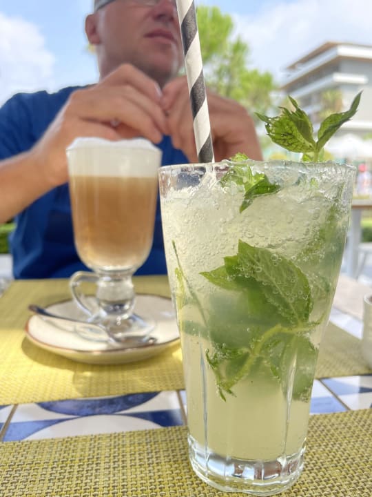 Gastro Acanthus Cennet Barut Collection