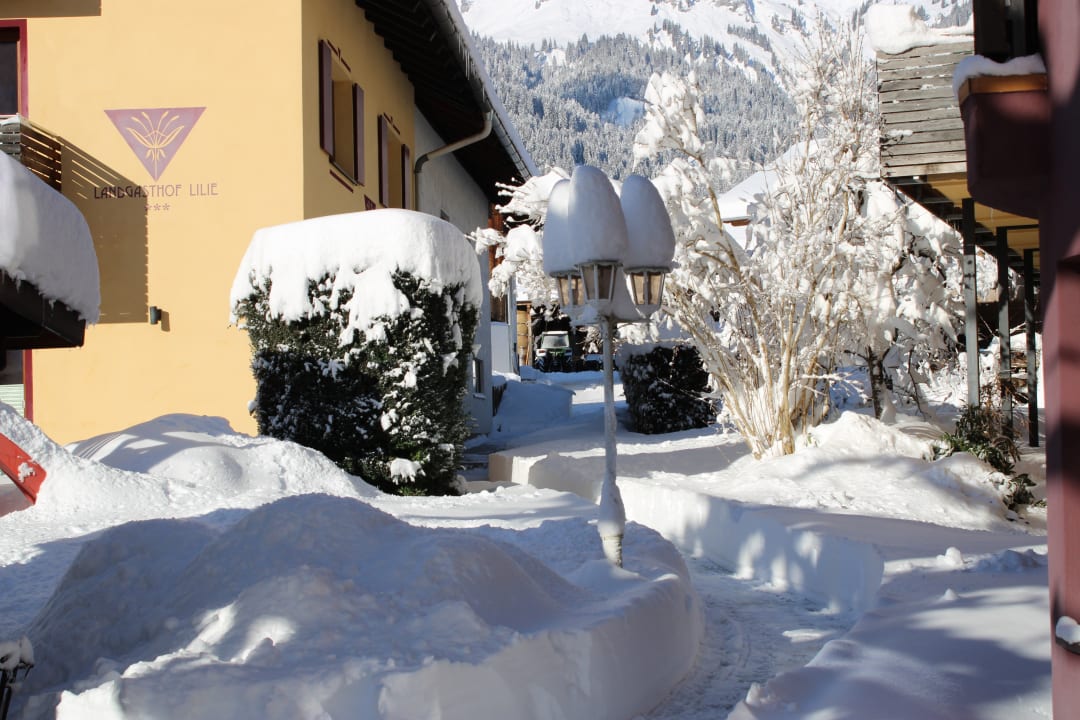 Gartenanlage Die Lilie - Hotel Garni