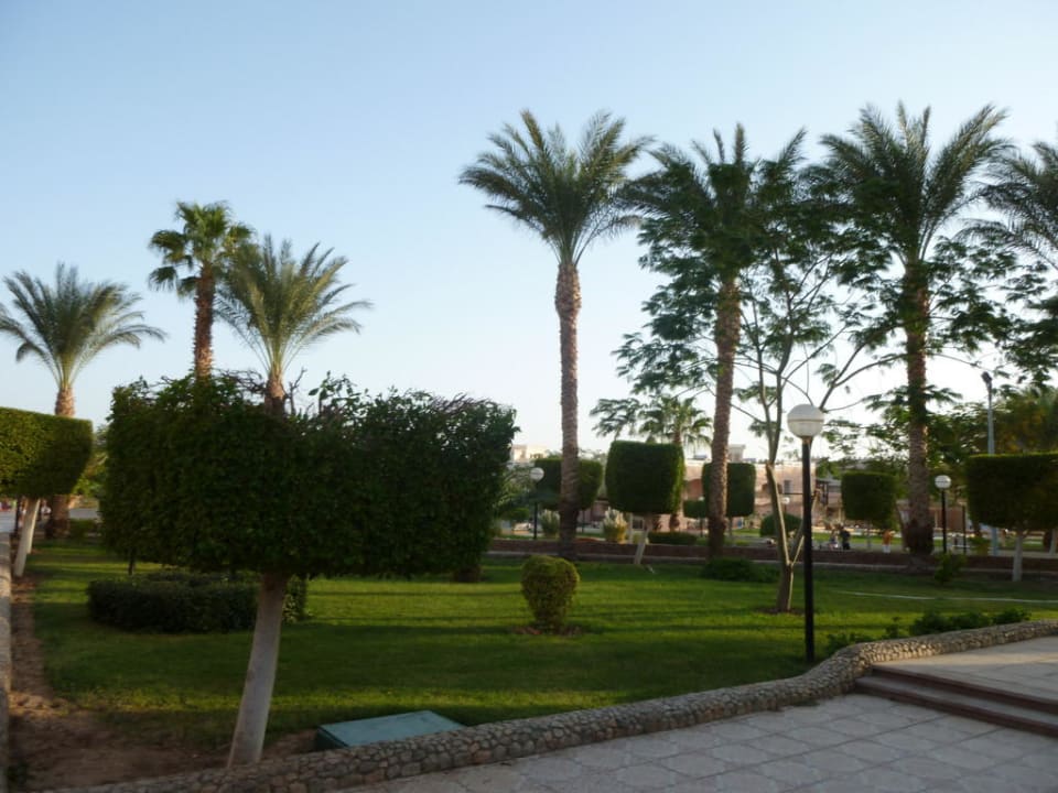 Hotel Beach Albatros Resort & Spa Beach Albatros Resort