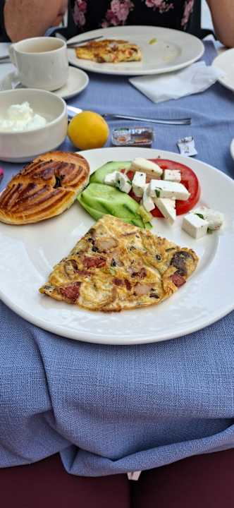 Gastro Seashell Vega