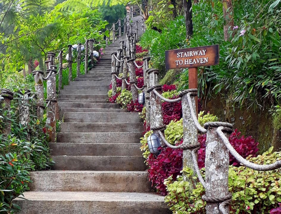 Gartenanlage Plataran Bromo