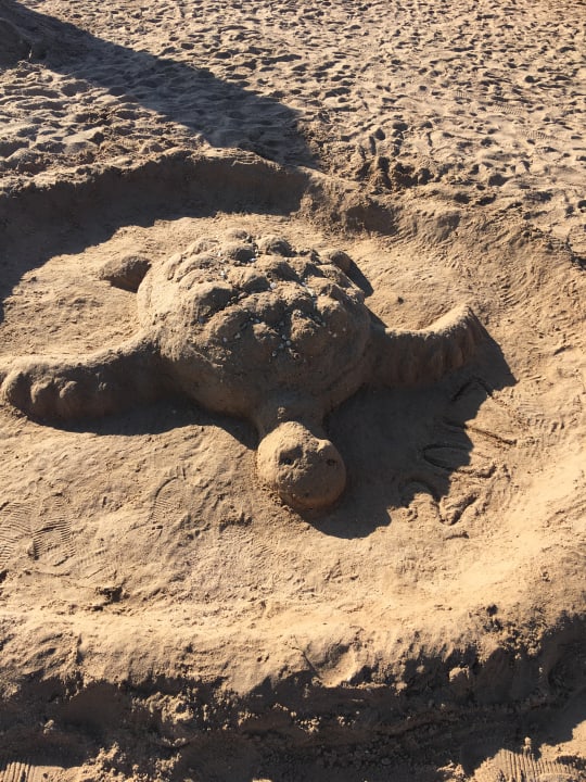 Strand Iberotel Makadi Beach