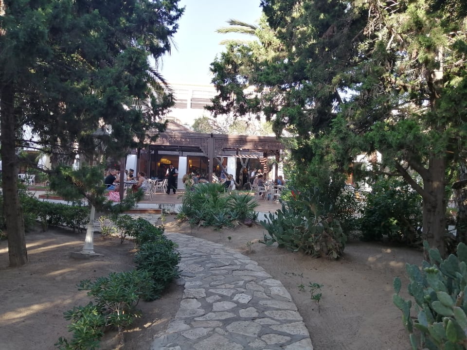 Gartenanlage Marhaba Royal Salem